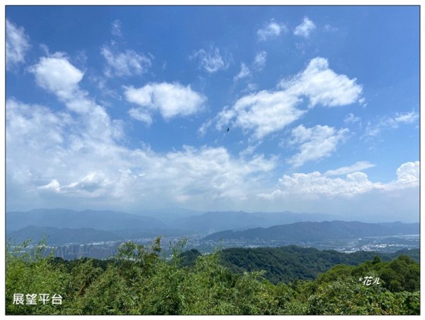 中坑山．石灰坑山．望湖山 連走2812961