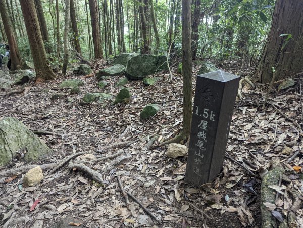 谷關七雄：屋我尾山（大雪山林道來回）1773193