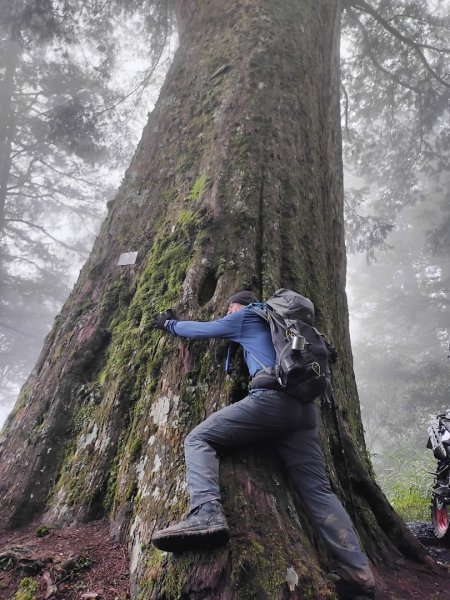 20220509南橫三星 ✨》塔關山🌲🌲🌲1707873