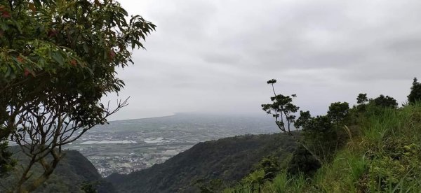 鵲子山步道 小百岳1304416