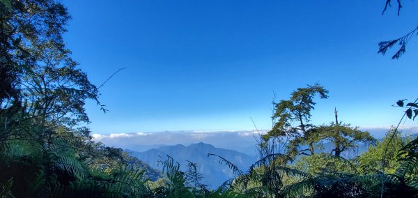 谷關七雄老大-八仙山谷關七雄主峰步道