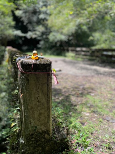 烏來阿玉溪山/西坑林道/探勘派出護管所彈藥庫遺址至獅坑橋2582019