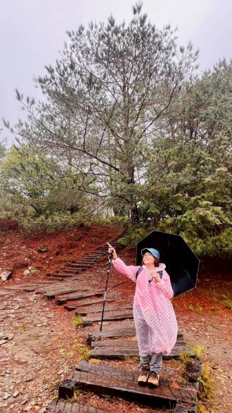 🌈4/6（一）關山越嶺古道-中之關古道✨FB：熊熊趴爬走~歡迎加入🌈3031179