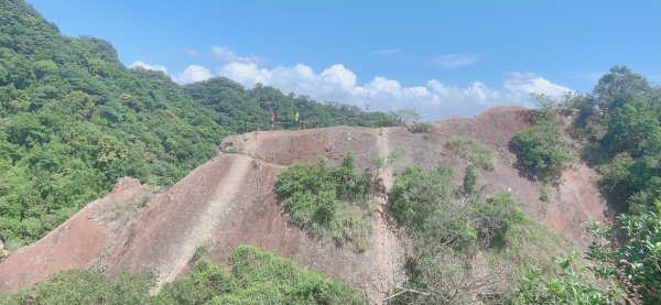 2020 08 14 五寮尖登山步道1065993