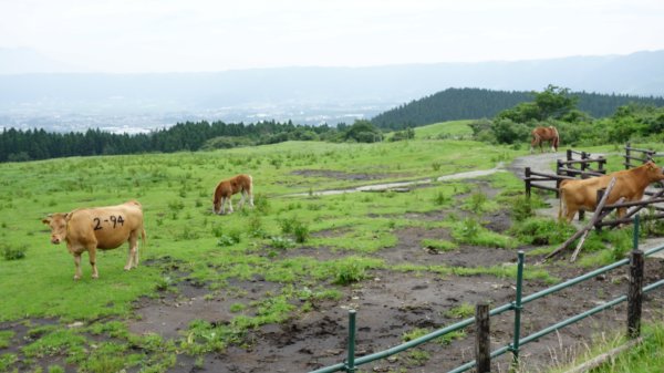九州阿蘇火山美景652090