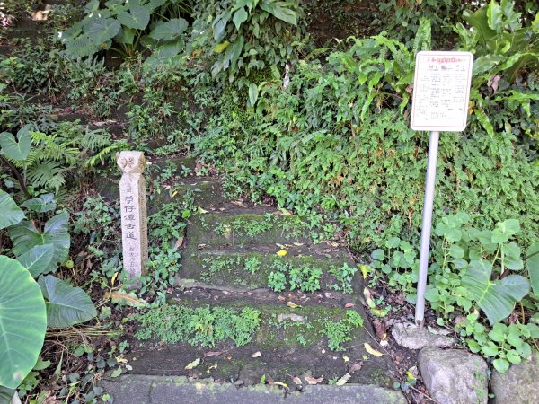 淡蘭北路第一，二段：瑞芳車站到澳底3106012