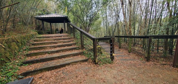 2025-01-19孝子路步道、大巃頂2694249