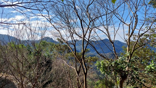 安坑五山縱走2784635