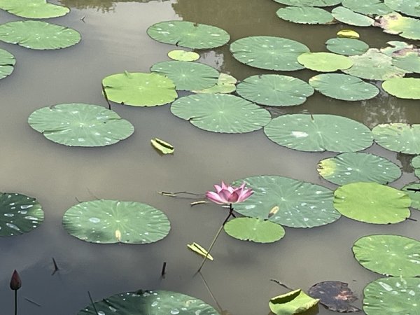 岩藏山-火燒寮山2844841