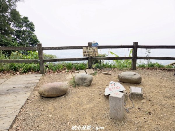 【台中太平】小百岳三汀山3027101