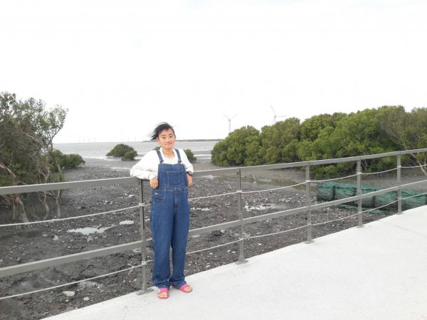 110.11.10 芳苑濕地紅樹林海空步道