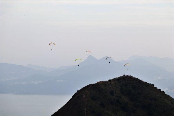 HK - 馬鞍山 (三角石河)1270475