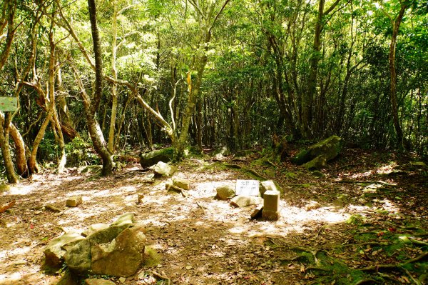 新竹 尖石 道下山、牛欄坑山、大混山3064760