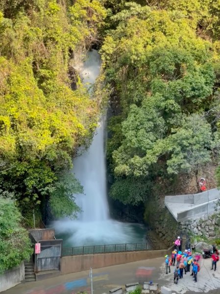 能高瀑布 福興山尋血藤3022412