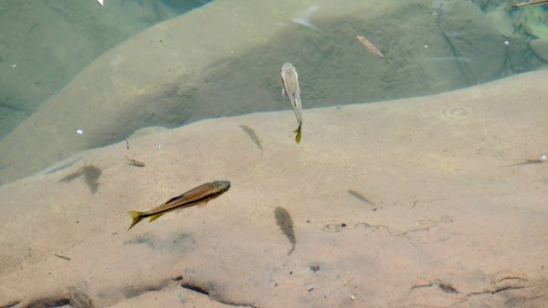 暖東峽谷大環小環2834419