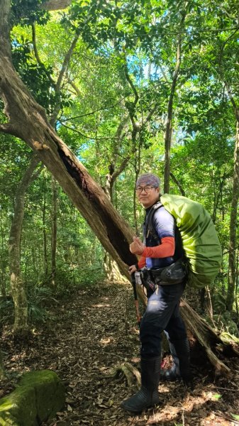 外鳥嘴蓮包山O縱2893179