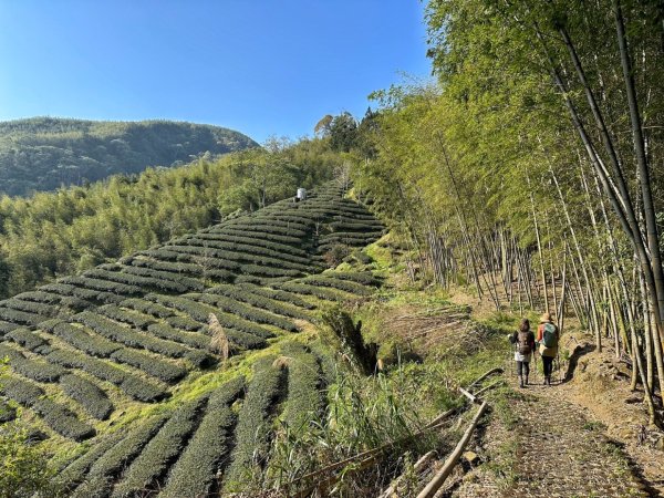 溪頭六連峰O繞2741766