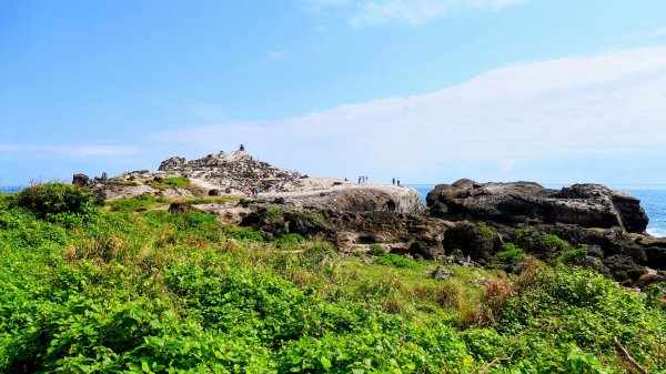 洄瀾東海岸3006664