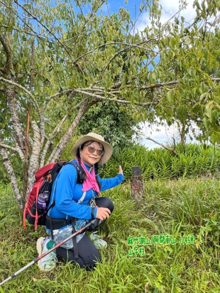 麻竹湖步道走麻竹湖山/阿郡山2821010