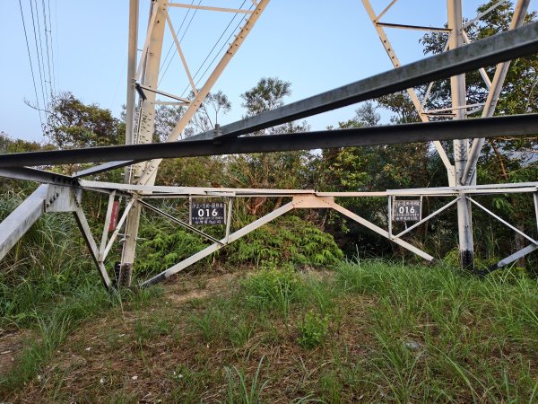 [百山百鳥尋旅-13/15] 2025_0929 圓覺寺步道2900800