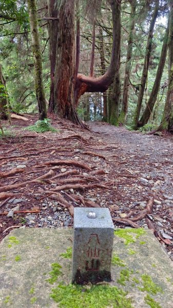 馬崙山之美1756031