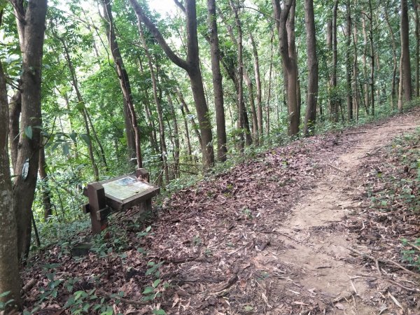 林安森林公園步道(大寮山步道)1464941