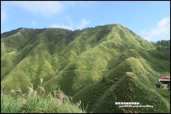 宜蘭礁溪。抹茶山聖母登山步道｜走到軟腿的1189179