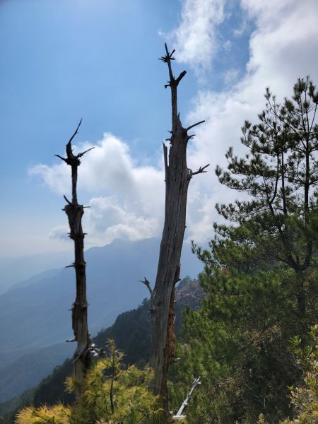 20260315-玉山前峰3018723