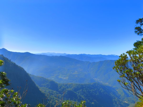 【新竹尖石】還記得北得拉曼山 這一季黃金山毛櫸的璀璨1183354