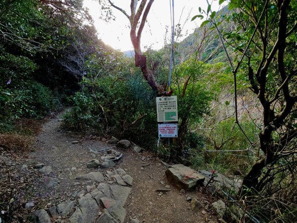 里龍山-小百岳#69-屏東縣獅子鄉2750518