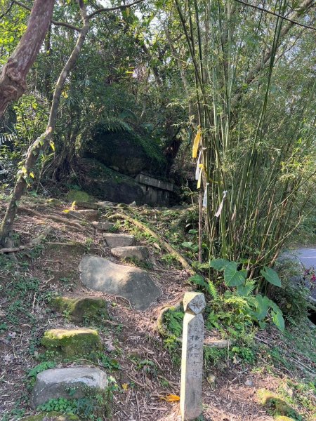 2025-01232淡蘭古道北二段(燦光寮古道到澳底)2696725