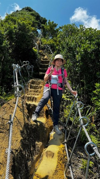 孝子山、普陀山、慈母峰賞鹿子野百合O走2592942