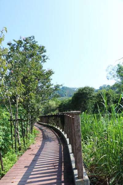 南投魚池~花茶香田園好風光~澀水田頂步道1026760