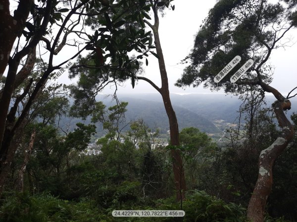 《苗栗》霧雨寒流｜三義三角山步道202512252969267