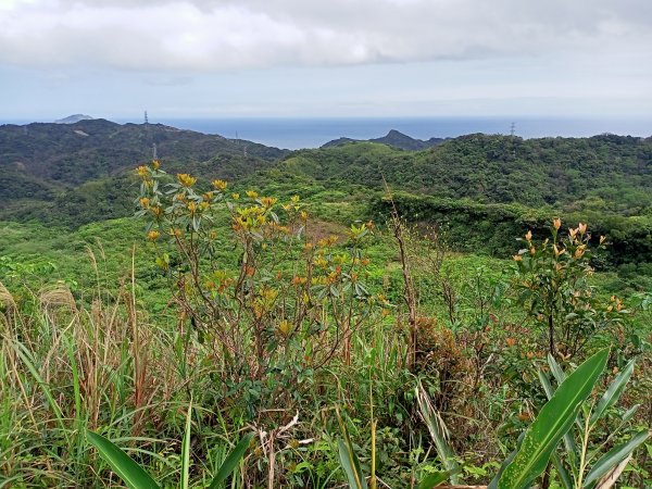 【瑞芳四秀】白象山(又名弘明山)→秀崎山→瑞芳山→龍潭山1651486