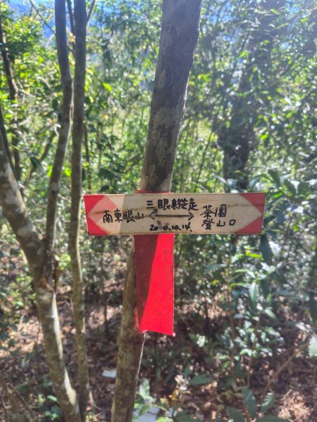 南東眼山連走有勝山2918724