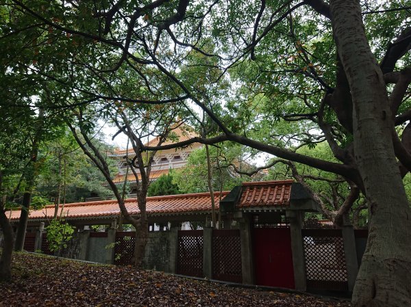 功維敘隧道-貓狸山公園2754524