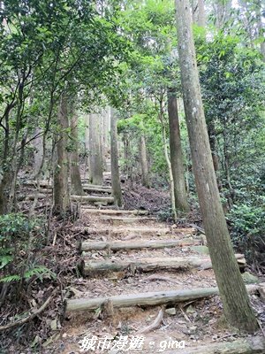 【台中和平】長壽山_肥崠山_山徑3077659