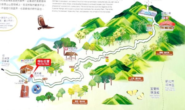 【中級山】宜蘭抹茶山（三角崙山），聖母登山步道，五峰旗瀑布2741059