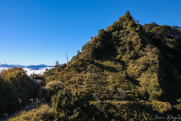 [百岳]南橫三星與關山2025766