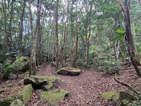 水雲三星～上島山（鳥嘴山）2931240