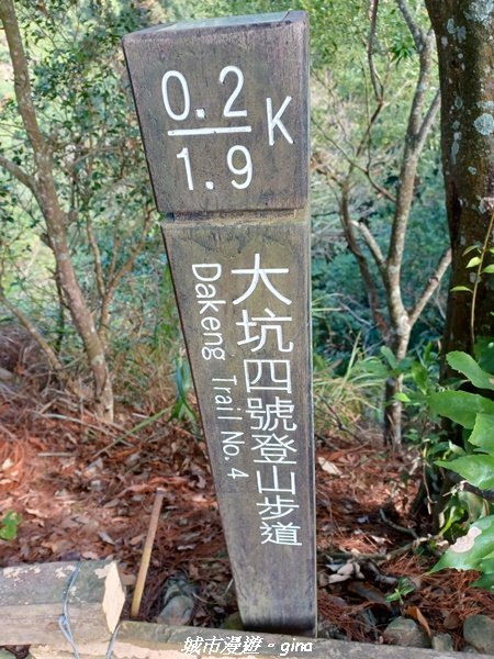 【台中北屯】台灣百大必訪步道。 全台少見的圓木步道。 大坑四號步道 ( 小百岳頭嵙山)1958326