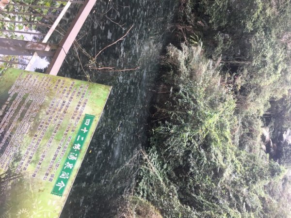 四十二份湧泉2723163