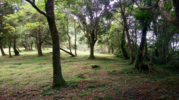 淡蘭古道南路（湖底嶺、四堵古道、溪畔古道）1433989