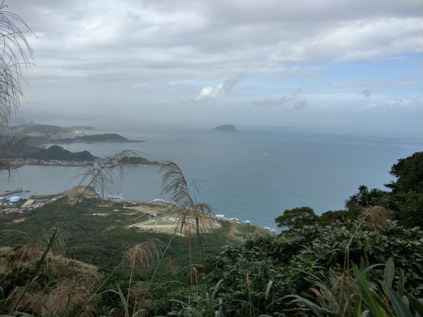 基隆山(小百岳#6) & 山腰步道 (2020/11/16)1426718