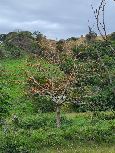 竹坑南寮登山步道~舒服山景2759651