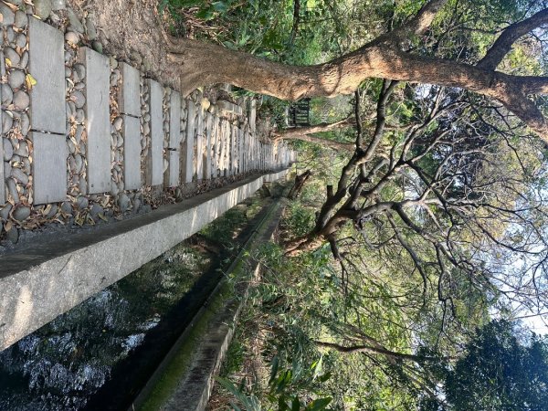 台中烏日-知高川圳步道2617542