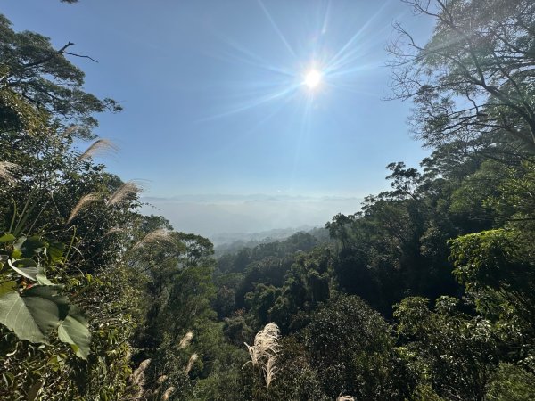 苗栗三義-三員縱走2616424