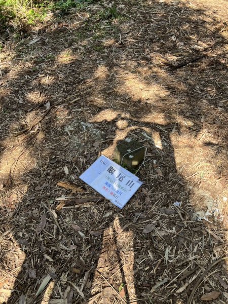 2025-0130溪和宮-大崎頭步道-鵝尾山-平溪步道-鵝尾山水田-42巷-溪山百年古圳-平菁步道2701841