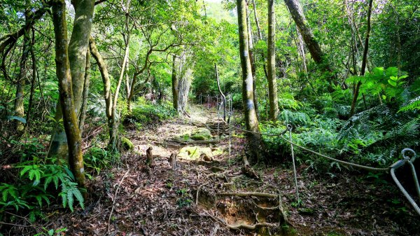 柯子林保甲路,如意湖,五指山古道2848888